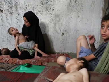 Israel assassina na Faixa de Gaza mais 89 palestinos em um dia