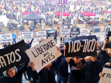 Privatização ameaça Parque da Água Branca: concessionária é acusada de destruir patrimônio