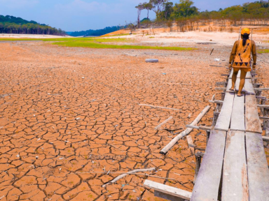 Desmatamento responde por 74,5% da perda de chuva na Amazônia, aponta estudo da USP