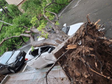 Temporal derruba árvores, causa alagamentos e 1,7 milhão de pessoas seguem sem luz em São Paulo