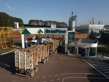 Com tarifaço dos EUA, madeireira demite 400 e afasta mais de mil trabalhadores no PR